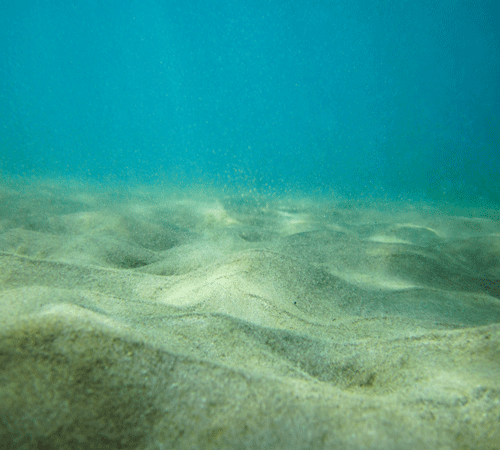 Seabed Cling-On Aquarium Background Seabed Cling-On Aquarium Background