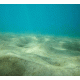 Seabed Cling-On Aquarium Background