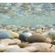 Rocks Cling On Aquarium Background