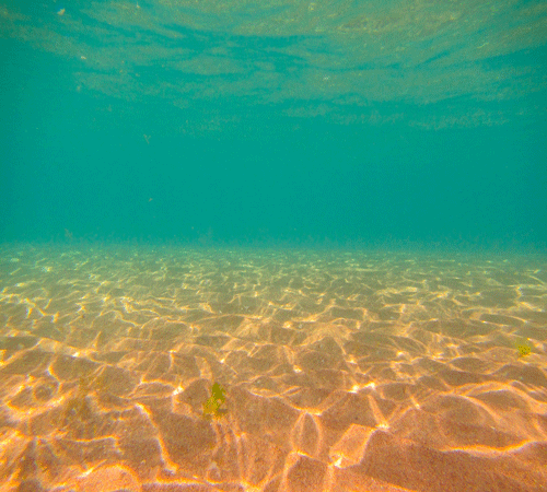 Seabed 4 Cling-On Aquarium Background