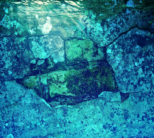 Stone Wall Underwater Cling On Background Stone Wall Underwater Cling On Background