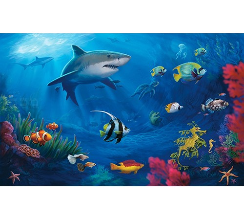 Under Water Great White Shark Cling On Aquarium Background
