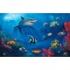 Under Water Great White Shark Cling On Aquarium Background