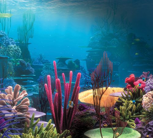Pre-Sized Under Water Cling On Background