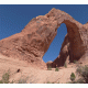 Arch 2 Background