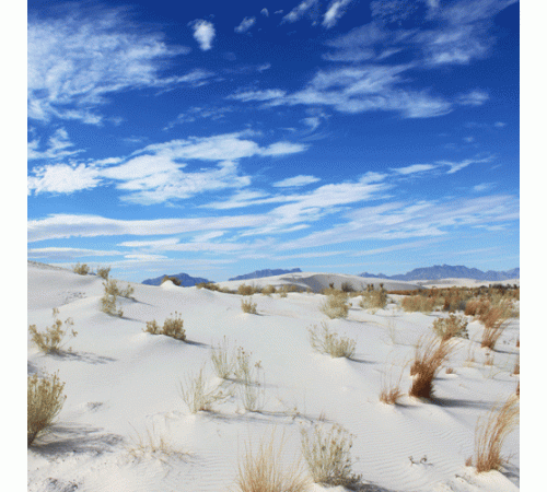 White Sand Scene Background