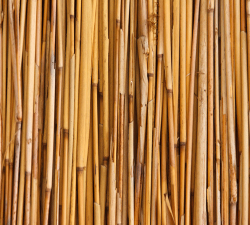 Bamboo 2 Background