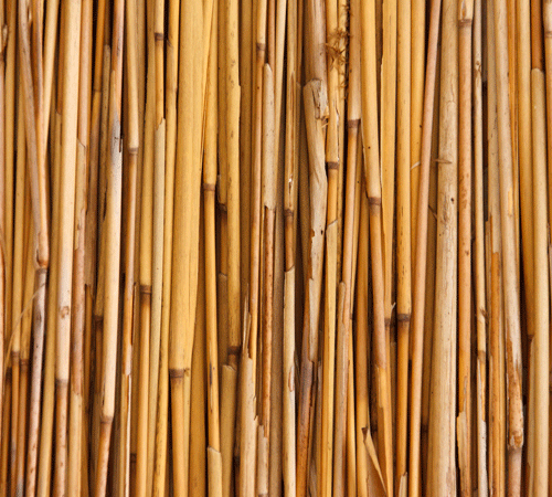 Bamboo 2 Background Bamboo 2 Background