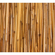 Bamboo 2 Background