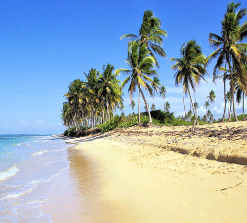 Beach 3 Background