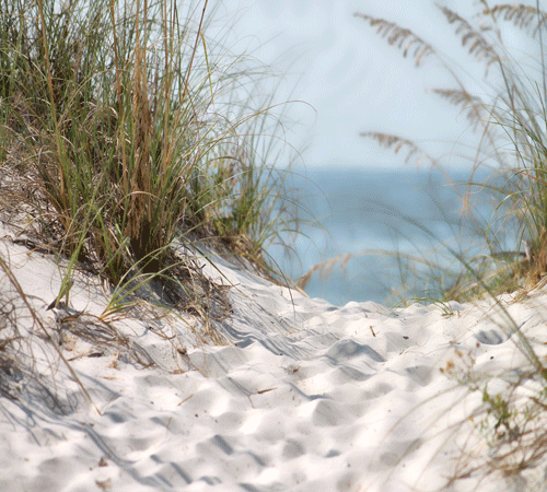 Beach Sand Background Beach Sand Background