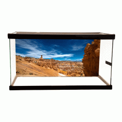 Canyon Background Canyon Background
