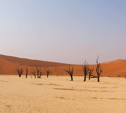 Desert 18 Background