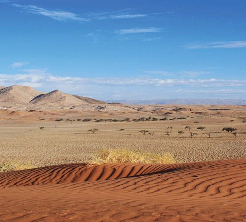 Desert 8 Background