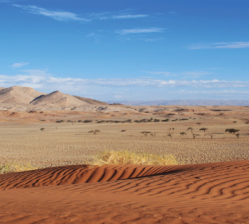 Desert 8 Background Desert 8 Background