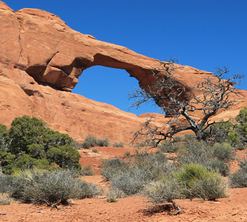 Desert Arch 2 Background