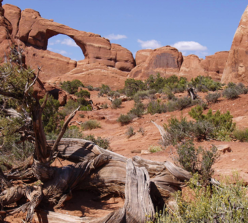  Pre-Sized Desert Arch Background 