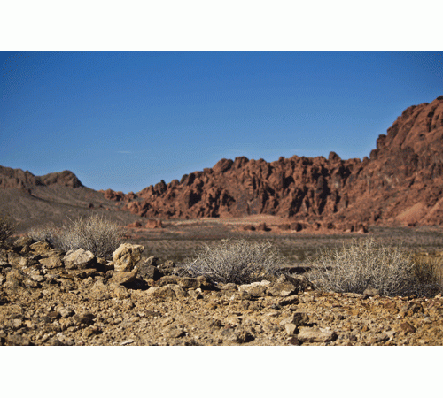 Desert Floor Background Desert Floor Background