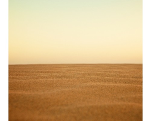 Desert Sand Background