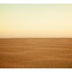 Desert Sand Background
