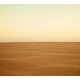 Desert Sand Background