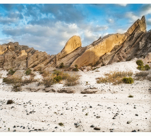 Desert Background