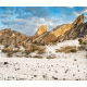 Desert Background