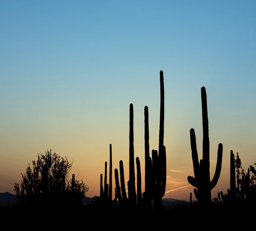 Desert Sky Background Desert Sky Background