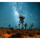 Desert Stars 5 Background