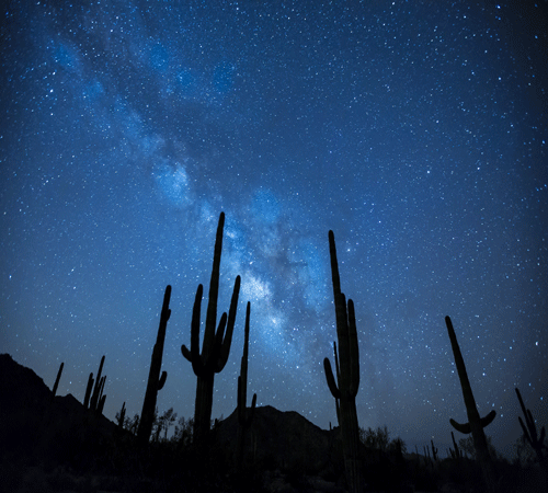 Desert Stars Background Desert Stars Background