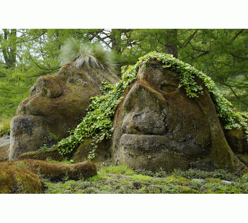 Troll Heads Background Troll Heads Background