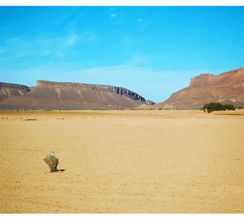 Desert 4 Background