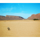 Desert 4 Background