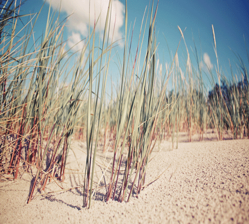Landscape 2 Background 
