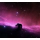Horse Head Nebula Background