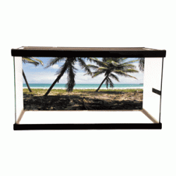 Island Background Island Background