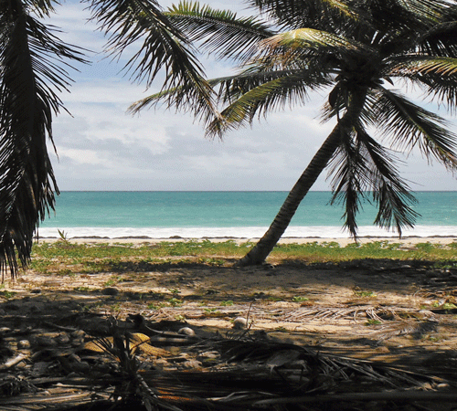 Island Background Island Background