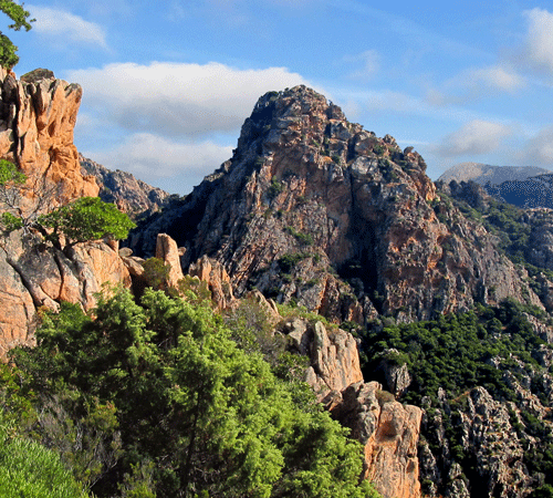 Mountain Peaks Background