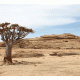 Namibia Desert Background