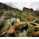 Mountain Background Mountain Background