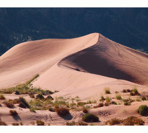 Sand Dunes Background