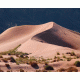 Sand Dunes Background