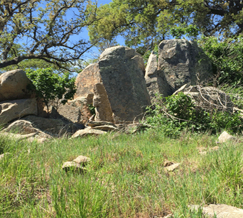 Santa Rosa 3 Background