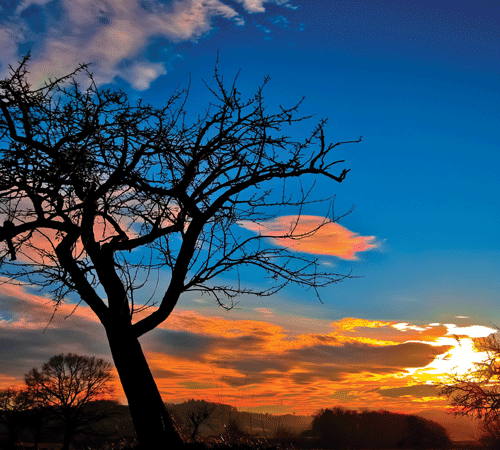 Sunset Background