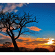 Sunset Background Sunset Background