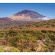 Teide National Park Background