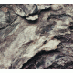 Tree Bark Background