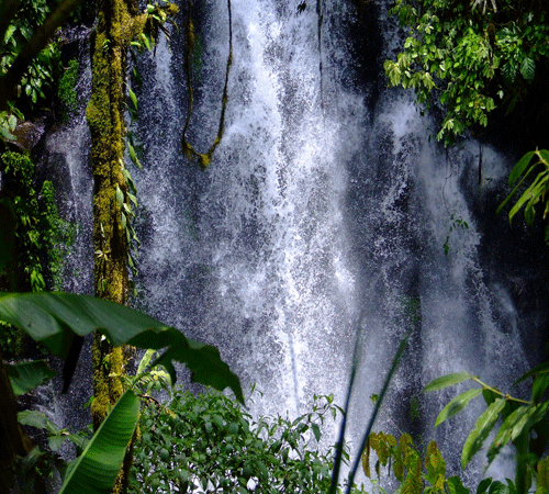 Waterfall 6 Background