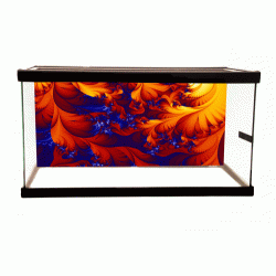 Abstract Background