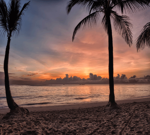Beach 6 Background